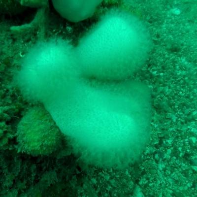 Gopr0922 1557932404398 High