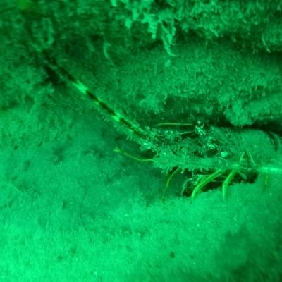 Gopr0928 1557931220622 High