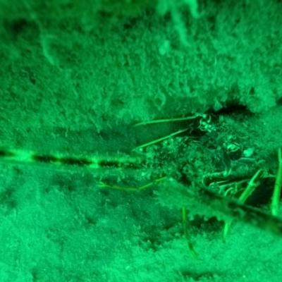 Gopr0928 1557931461636 High