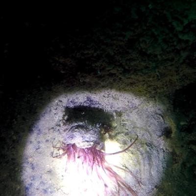 Gopr0932 1557930643462 High