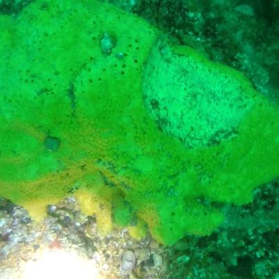 Gopr0937 1557930342940 High