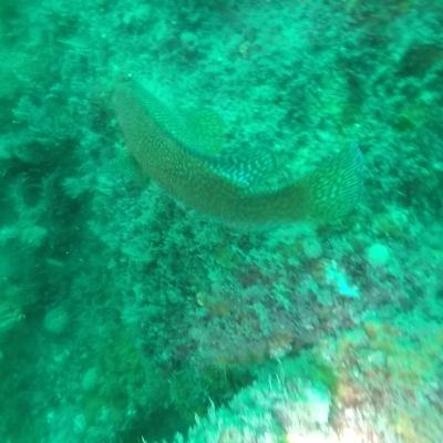 Gopr0938 1557930197070 High