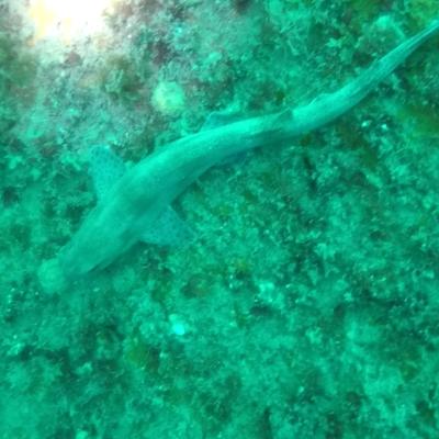 Gopr0939 1557928912337 High