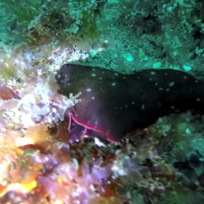 Gopr0944 1557928643954 High