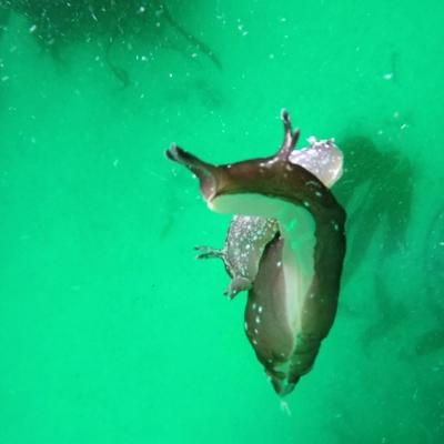 Gopr0951 1557928134152 High