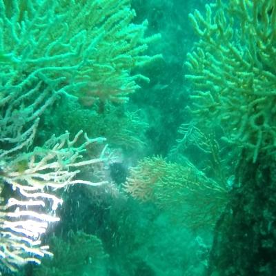 Gopr0960 1557911569197 High