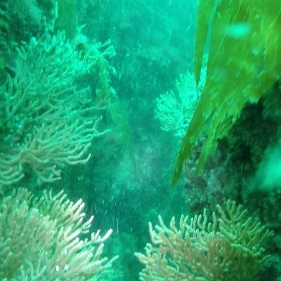 Gopr0960 1557911791730 High