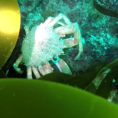 Gopr0961 1557911261287 High